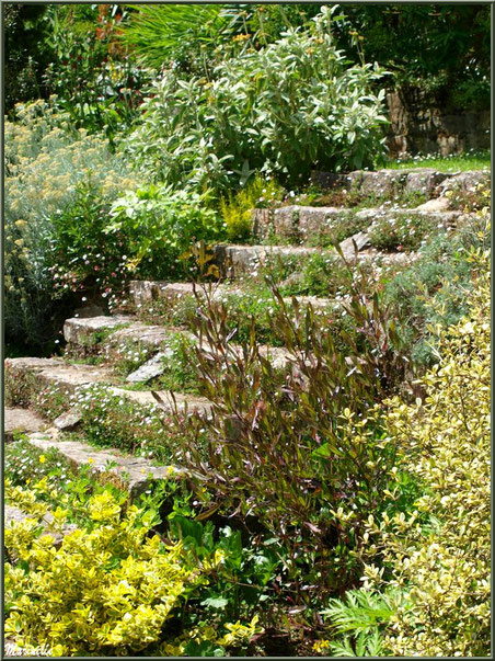 Un escalier aux Terrasses - Les Jardins du Kerdalo à Trédarzec, Côtes d'Armor (22)