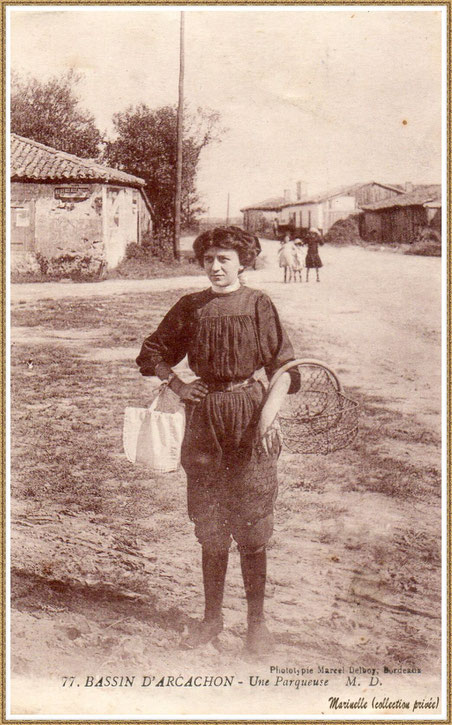 Gujan-Mestras autrefois : Parqueuse à l'entrée de Gujan, Bassin d'Arcachon (carte postale, collection privée)