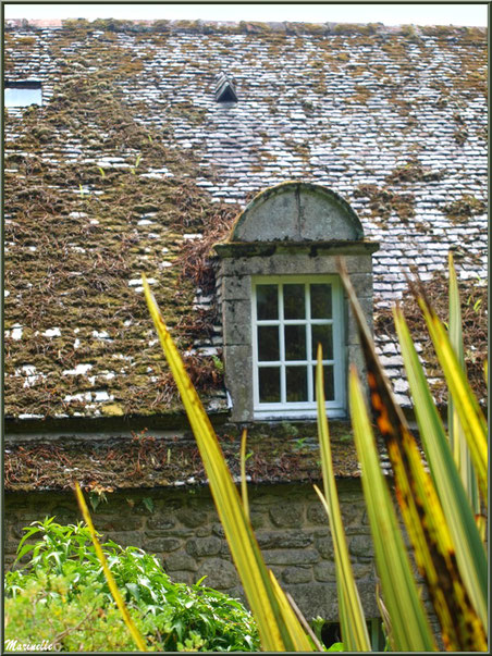 Le Manoir (vu depuis le sentier en contrebas des Terrasses) - Les Jardins du Kerdalo à Trédarzec, Côtes d'Armor (22)