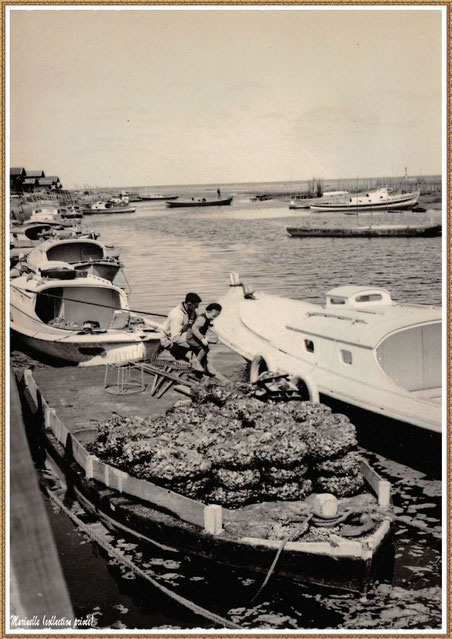 Gujan-Mestras autrefois : pinasses, chaland avec panetières d'huîtres dans la darse principale du Port de Larros, Bassin d'Arcachon (carte postale, collection privée)