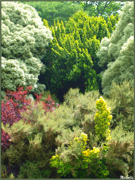 La Lande Dorée - Les Jardins du Kerdalo à Trédarzec, Côtes d'Armor (22)