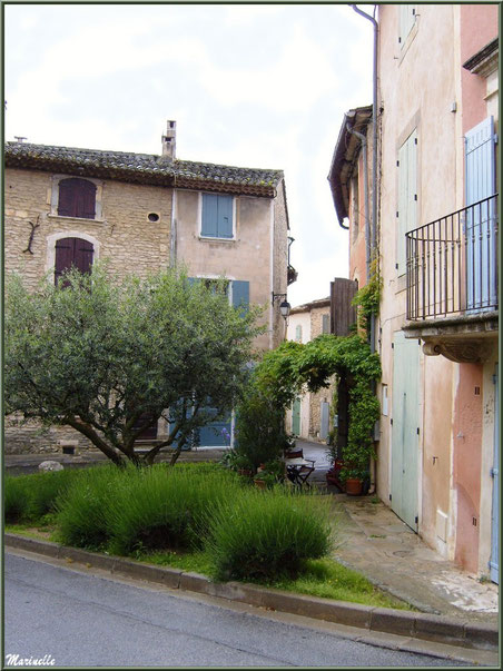 Jardinet et maisons à côté de l'ancien Bureau de Poste (juste derrière l'olivier) - Goult, Lubéron - Vaucluse (84)