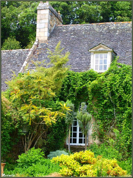 Le Manoir - Les Jardins du Kerdalo à Trédarzec, Côtes d'Armor (22)