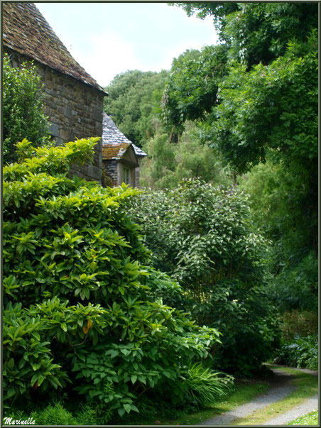 Le Manoir et un des sentiers menant à la Vallée du Bas - Les Jardins du Kerdalo à Trédarzec, Côtes d'Armor (22)