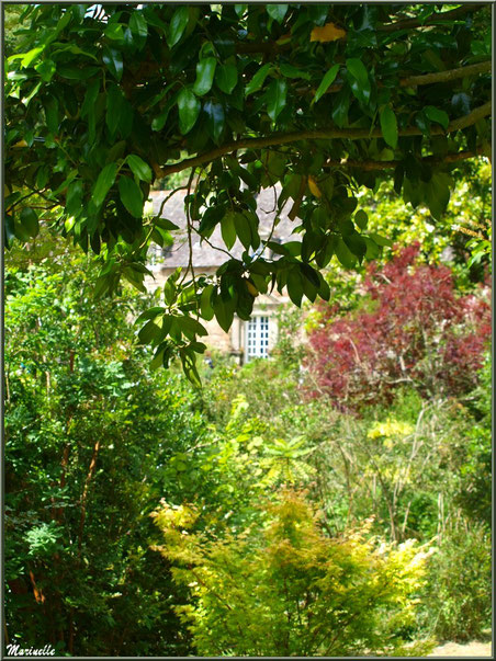 Le Manoir derrière une trouée dans la végétation- Les Jardins du Kerdalo à Trédarzec, Côtes d'Armor (22)