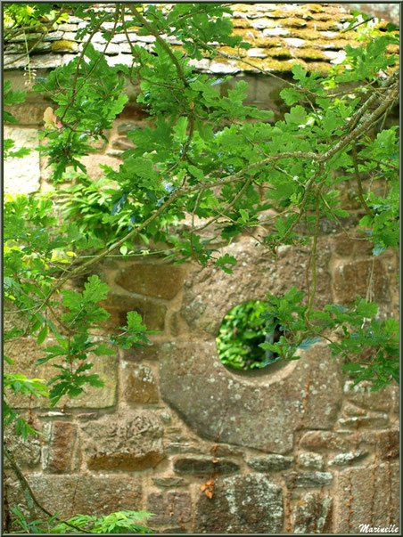 Oeil dans un mur d'une annexe du Manoir - Les Jardins du Kerdalo à Trédarzec, Côtes d'Armor 