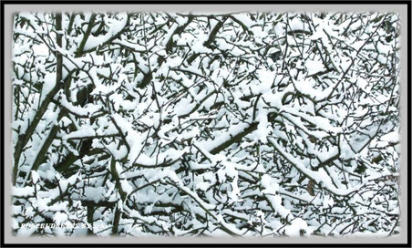Schnee - frisch gefallen