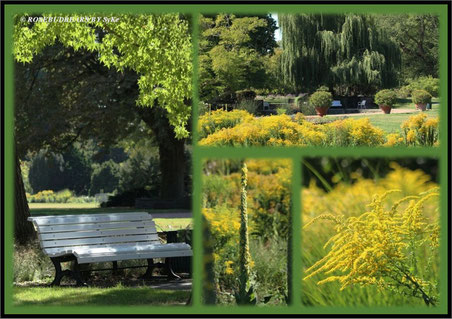Stadtpark Hannover
