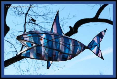 der Fisch ist Bestandteil der Scilla-Blütenwochen in Hannover-Linden
