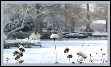 Stadtpark Hannover Schnee
