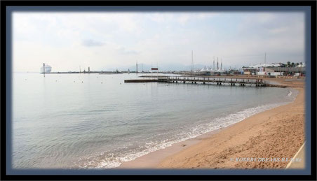 Cannes - Blick zum Hafen mit Kreuzfahrtschiff 