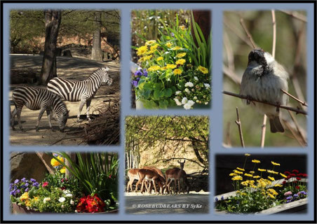 Hannover Zoo Eingangsbereich