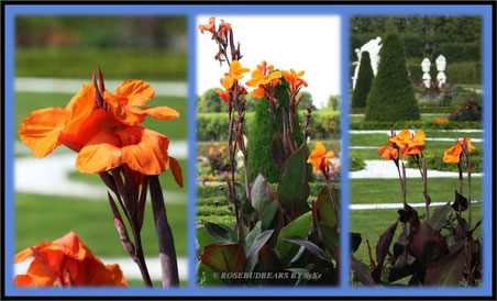 Hannover Herrenhausen Großer Garten Großes Parterre
