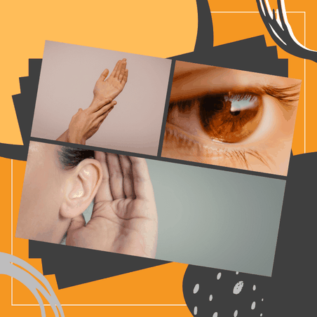 Visuell, auditiv und haptisch