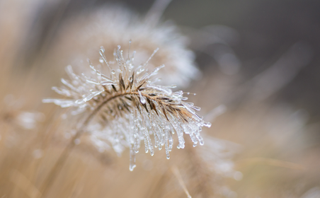 Nebel Eis Winter Licht Farben Emanuel Niederhauser pic4you