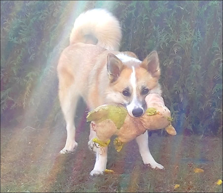 Photo de Leska