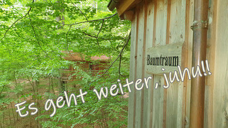 Baumtraum, es geht weiter, juhu