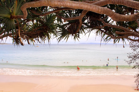 Noosa, Little Cove Strand, Australien