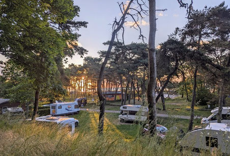 Die besten Campingplätze Rügen Campingplatz Drewoldke