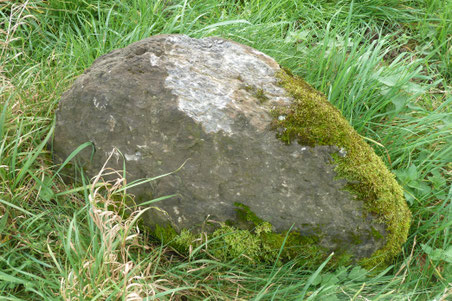 Beschädigter Menhir, 2022-10-23, Foto Georg Ledergerber