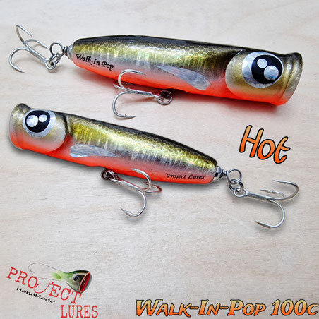 #projectlures #woodenlures #customlures #handmadelures #poppers #pescaspinning #lures 