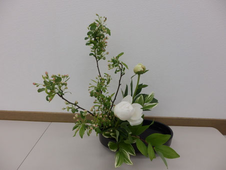 2014.5.20