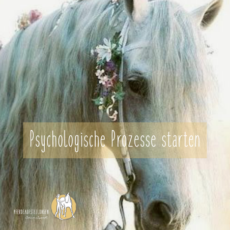 Foto: Pinterest