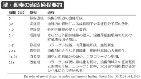 豊田市の接骨院 おおつか接骨院 アキレス腱断裂保存療法 スライド2