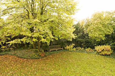 Heidelberg fully furnished flat - garden