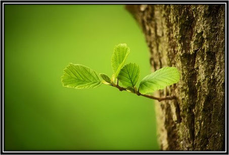 Place, positionnement, affirmation de soi, qui suis-je, confiance en soi, estime de soi, amour de soi, image de soi
