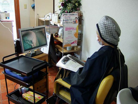 日野まちゼミ