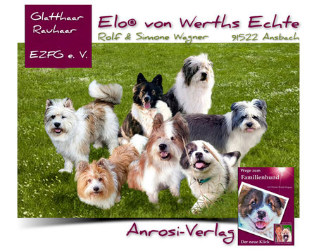Welpenschule
