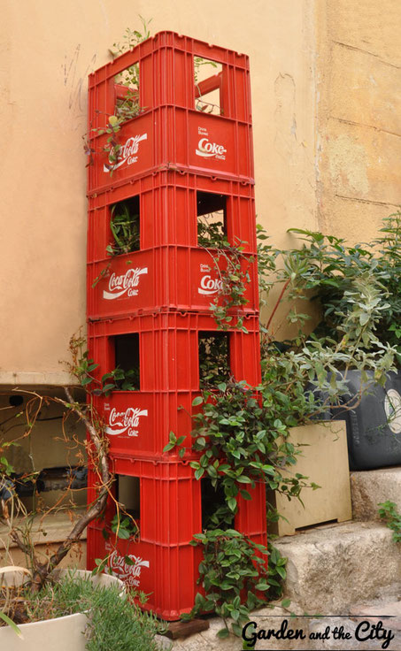 Tour de caisses coca-cola envahie par la tradescantias