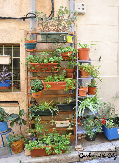Mur végétal DIY façon Quartier du Panier à Marseille