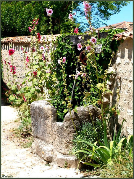 Ancien puits au détour d'une ruelle à Talmont-sur-Gironde, Charente-Maritime