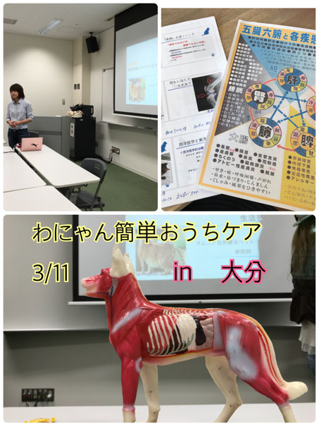 お散歩代行|お世話|ペットホテル|大分|別府|シッテイング|アニマルコミュニケーション|ペットシッター|お散歩