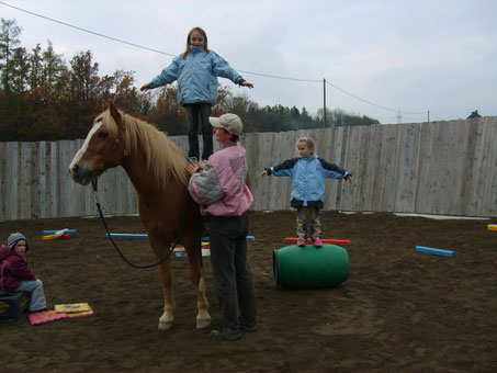 Vertrauen zum Pferd gewinnen