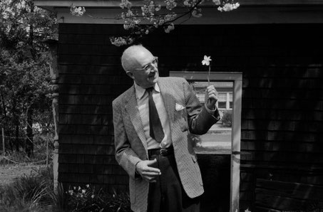 "It is difficult / to get the news from poems" ~ William Carlos Williams. 