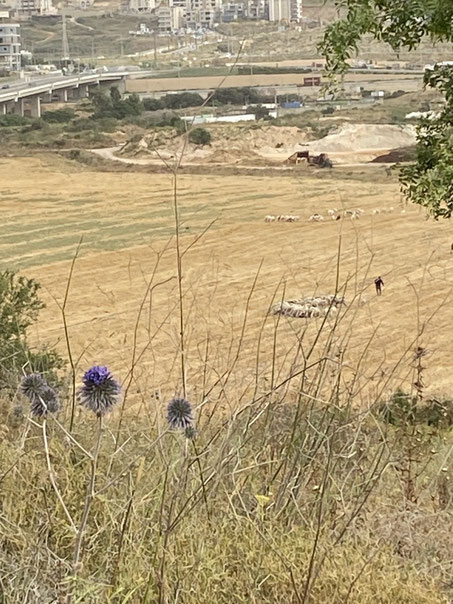 Israël - nabij Tzippori - Heftig confronterend uitzicht - ThP230602