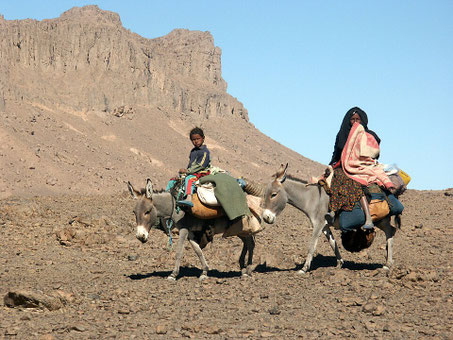 Tuareg-Nomaden