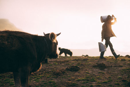 Foto: Mihail Macri @ Unsplash