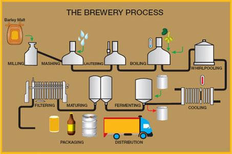 醸造過程-Brewery process