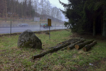 Das Bottisgrab heute - als Holzlager missbraucht. Foto Peter P.  Pfenninger 