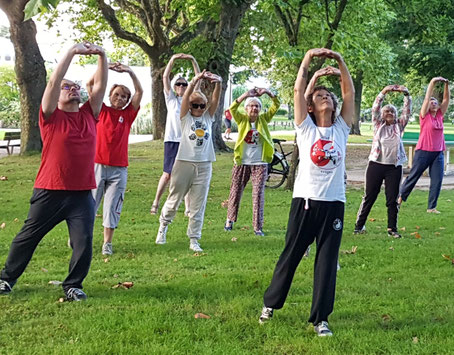 Séance l'été au Parc du Cours avec les adhérent-e-s Vitao