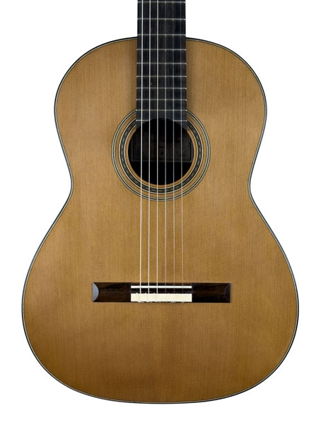 Nicolas Lamoureux- classical guitar  