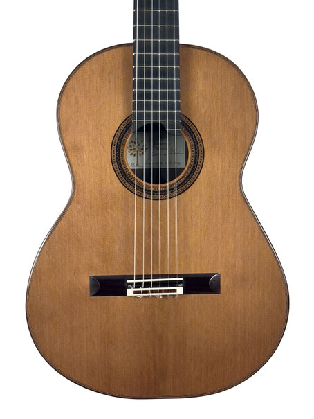 Johannes Kitselis  - classical guitar  