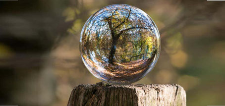 Ateliers de psychogénéalogie avec Katia Geffard - annuaire des thérapeutes en touraine, via energetica