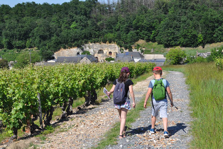 découverte-vignes-ferme-primaire-atelier-enfants-classe-scolaire-sortie-insolite-vignoble-Vouvray-Tours-Amboise-Touraine-Vallee-Loire-Rendez-Vous-dans-les-Vignes-Myriam-Fouasse-Robert