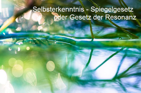 Ast spiegelt sich im Wasser