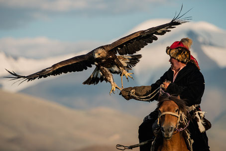  majestic Golden Eagles hunting skills